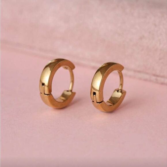 Anthropologie Jewelry - Hoop Earrings Q800